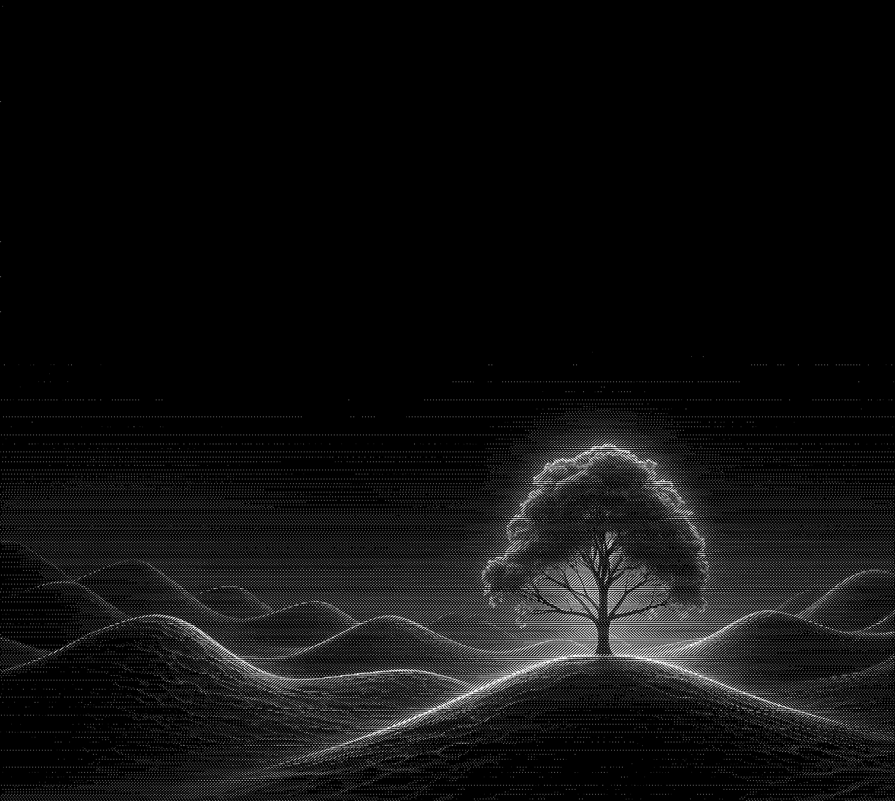 Illustration of tree using code